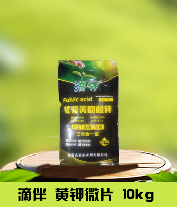 滴伴10kg黄钾微片